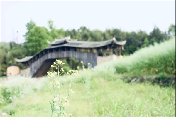 乡野风光 包登峰/摄