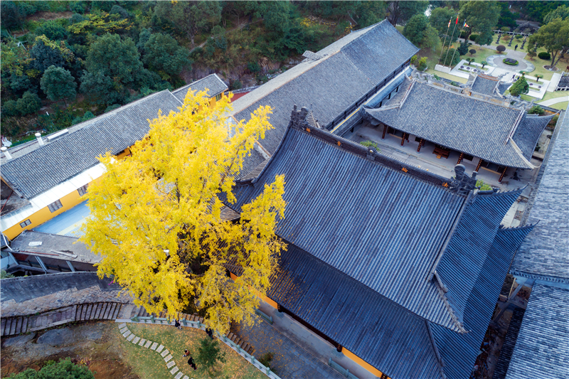 《秋意实际寺》（组图） 梁建飞 拍摄于瓯海茶山实际寺