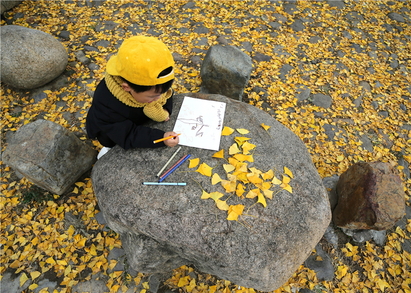 《银杏树下小男孩》 王赛珍 拍摄于永嘉银泉村