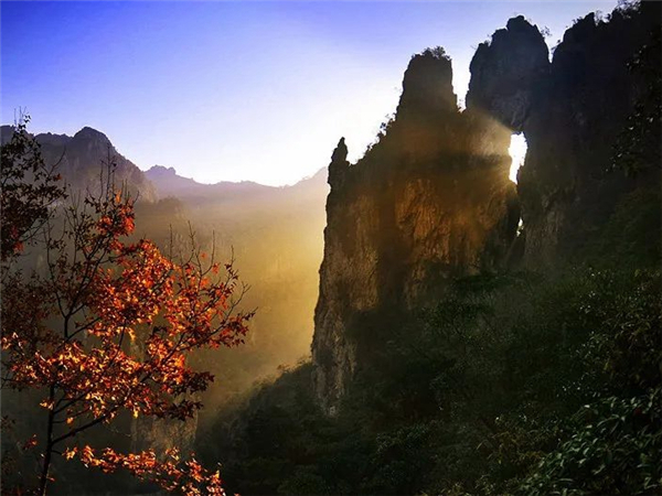 图源：温州市文化广电旅游局